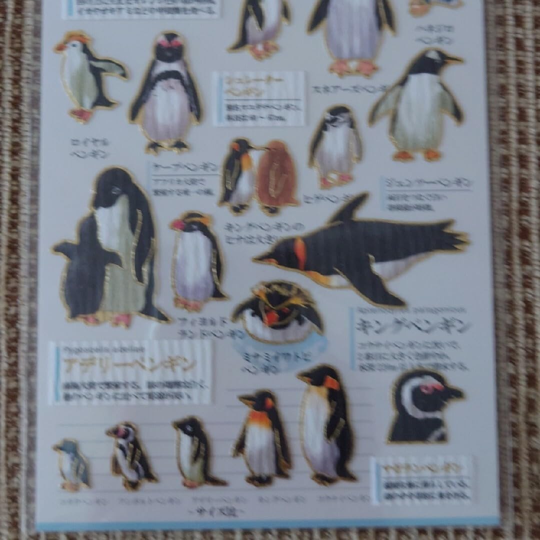 ペンギン図鑑  ペンギン図鑑～18 types of penguin～」- 海福雑貨通販部